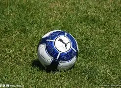 曼联果断抛,售博格巴,报价,乐竞体育平台,乐竞体育官方网站,乐竞体育登录入口,乐竞体育app下载