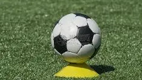 乐竞体育 产品 105230 v78