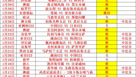 成都蓉城在2025中超联赛揭幕战中战胜武汉三镇